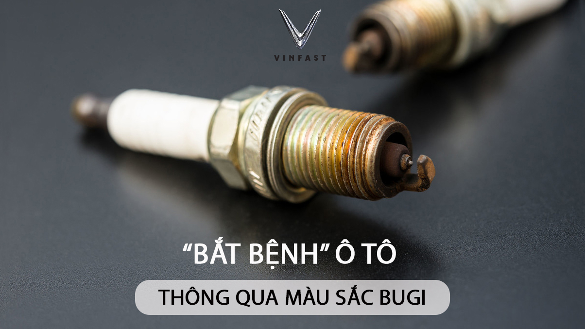 mau sac bugi thumb