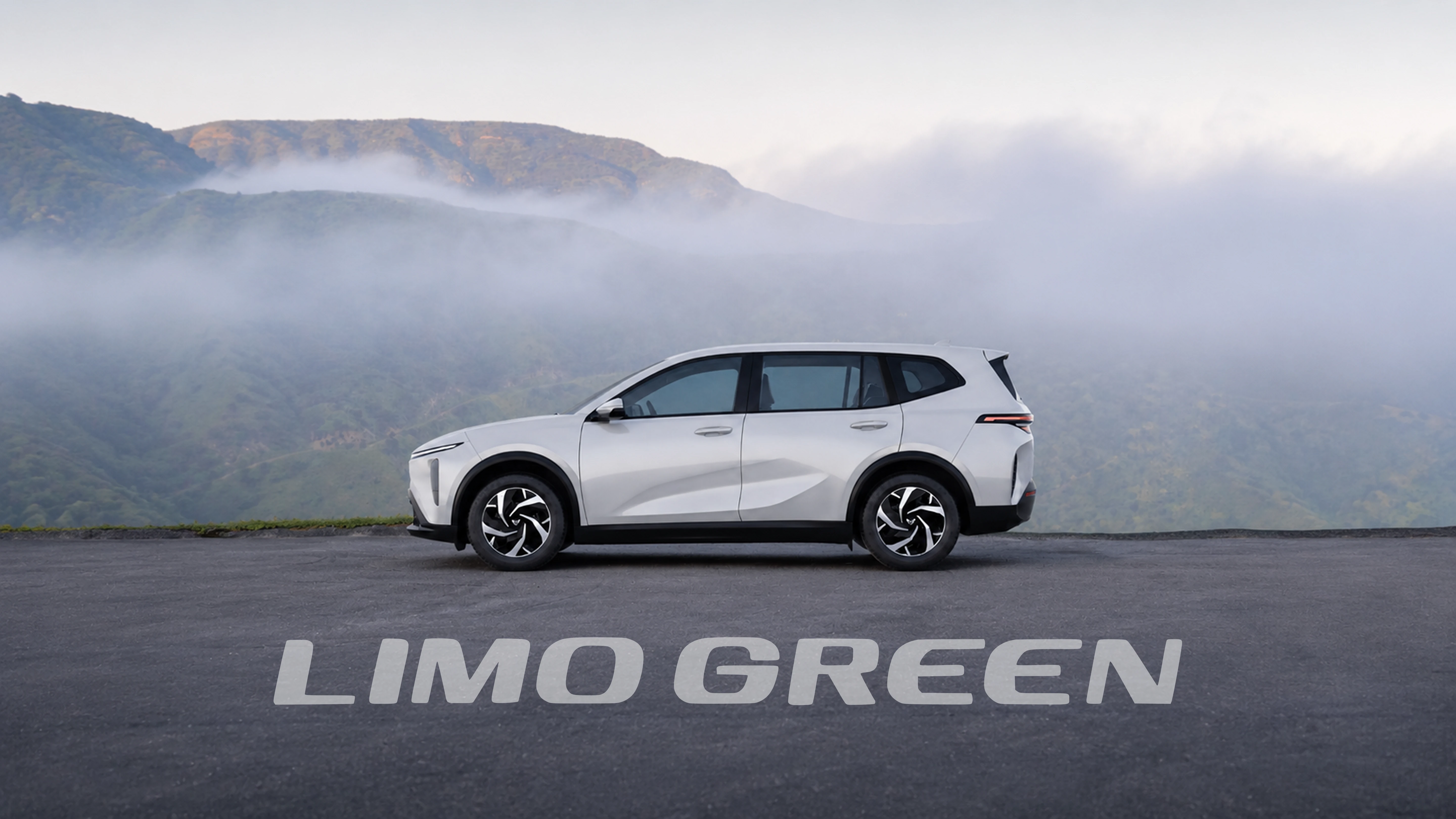 VinFast Limo Green