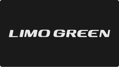 Nội thất VinFast Limo Green 4