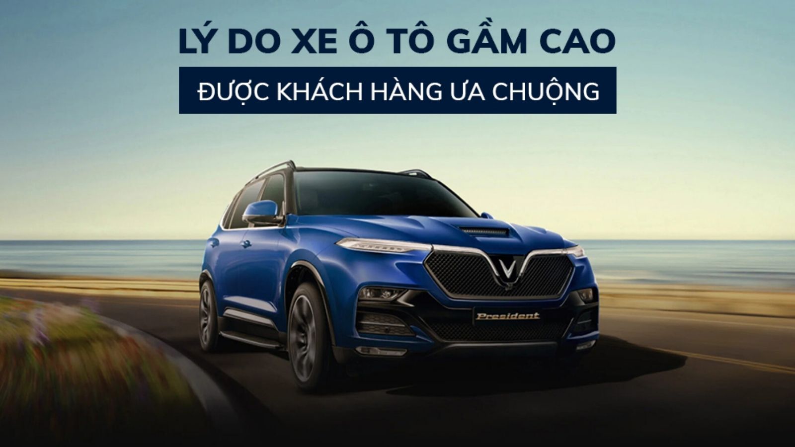 Xe ô tô gầm cao