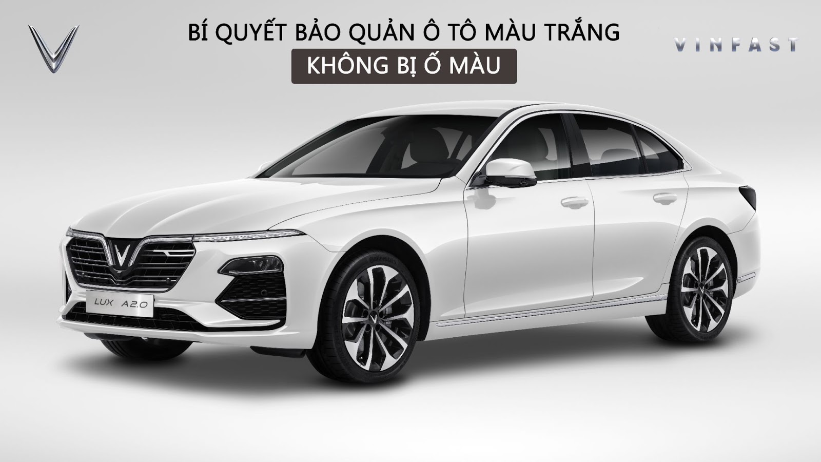 xe ô tô màu trắng